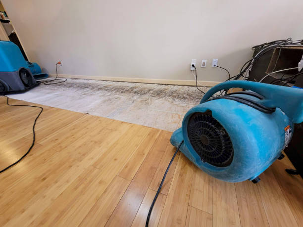Professional Sewage Cleanup technician working in Sammamish, WA